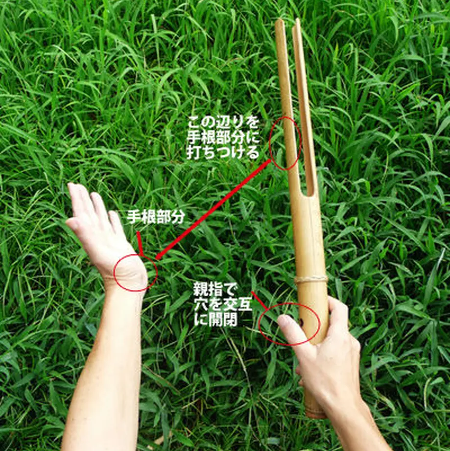 53faae082b349231380000dc