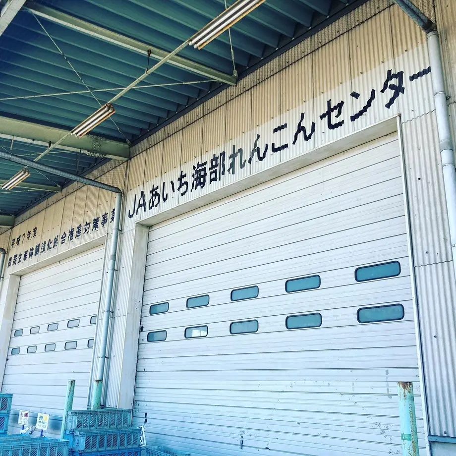 61a977f5d26fa525734d6a4e
