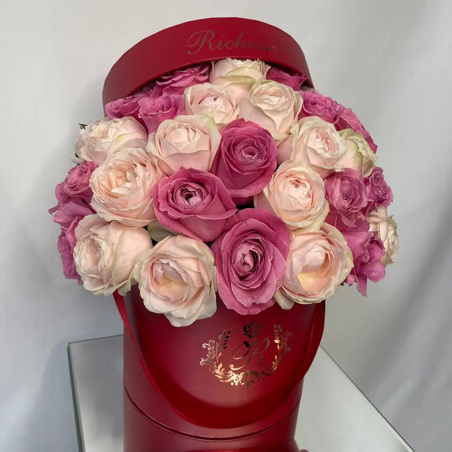 629dbb9ad085ee74d6b57a3d