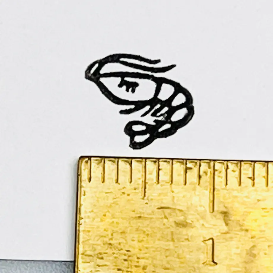 62b50c060ebded477f99c2c8