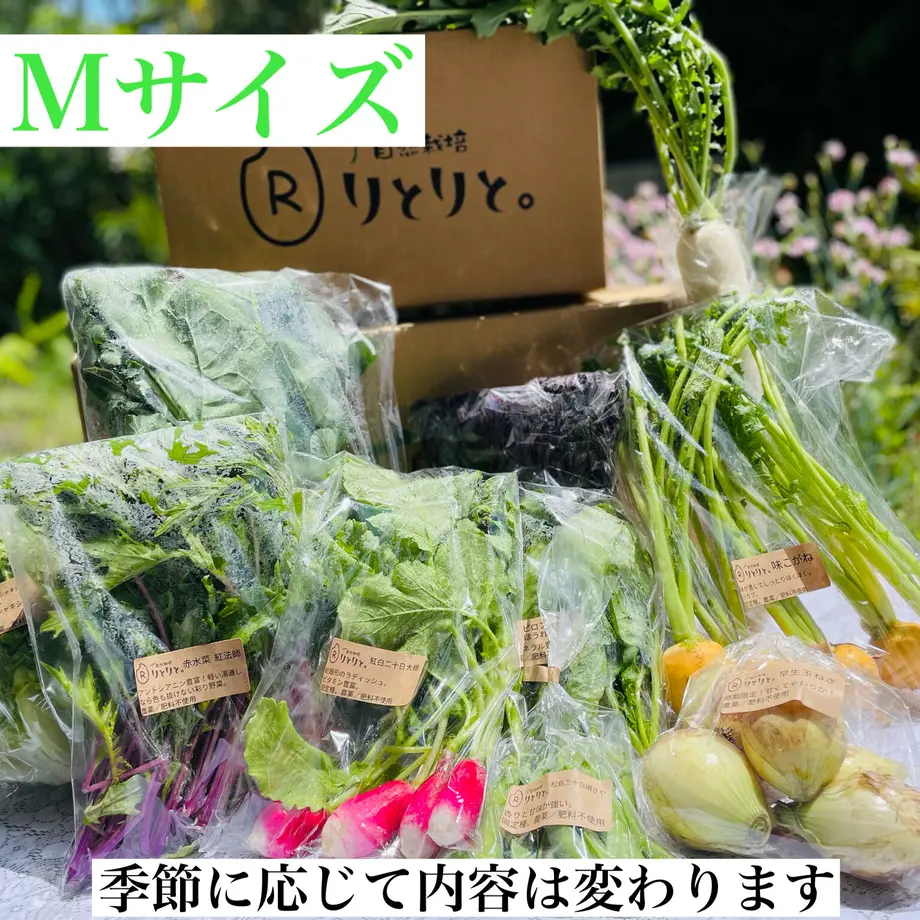 627d9ab6bc8f397d1505bae7