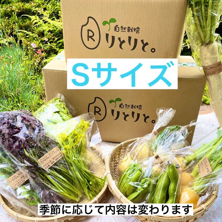 632a537c0f9a224c88fca9d9