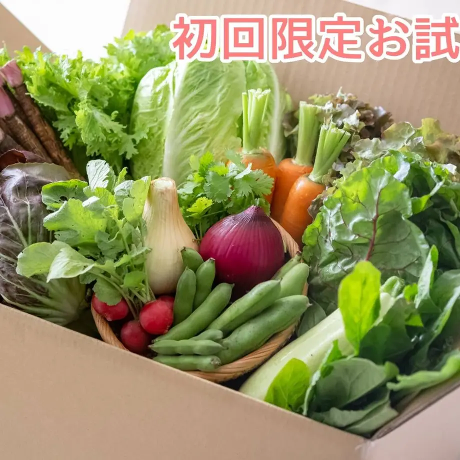 628a05f2b5285a6c4f1b34df