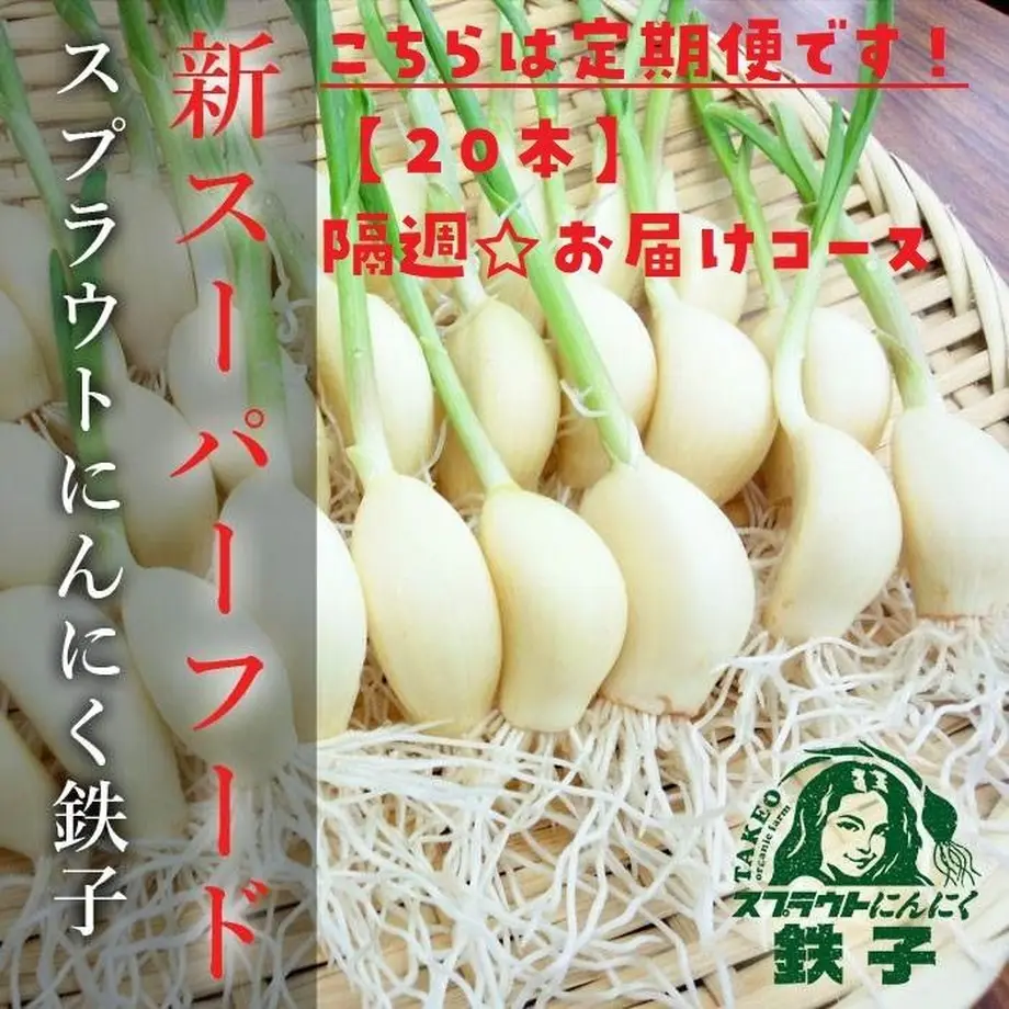 5dde4f82a551d54b22335083