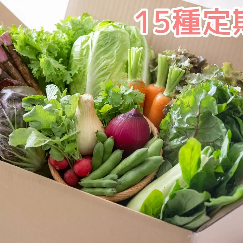 62c2b8f7a06d5c6fc55f0f21