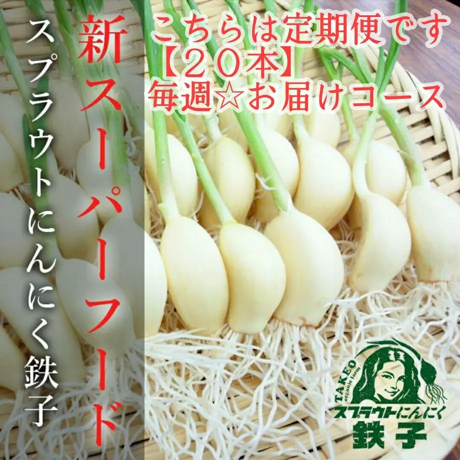 5fa76e66f0b10847a5db8813