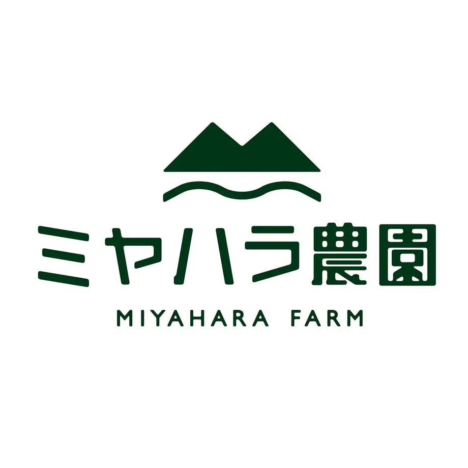 5e3ccdc194cf7b785d74f108