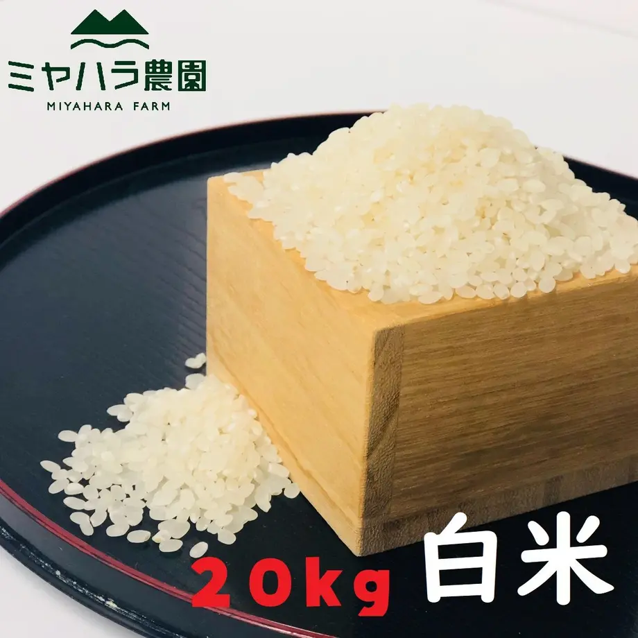 5ec7735f34ef017287c5f028