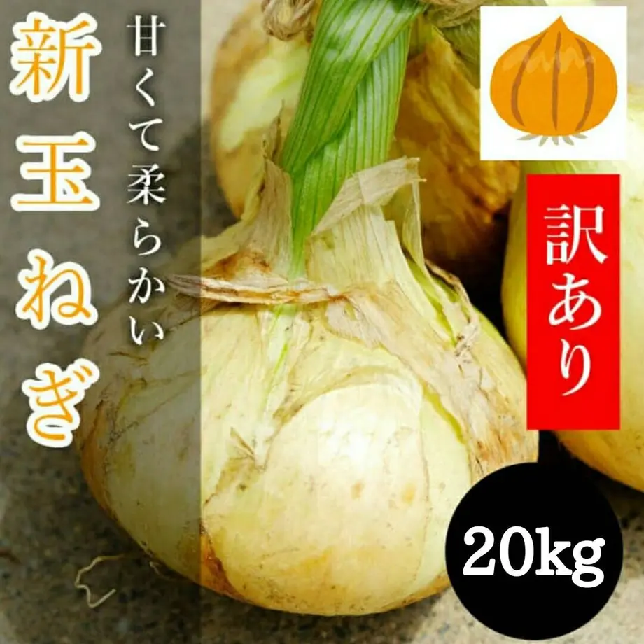 6076c07d230557284d8c18cf