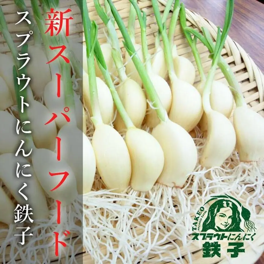 61ea350272c5de0b2bb75a2c