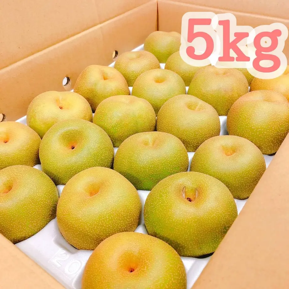 6124ed248a45721bdf5840f3