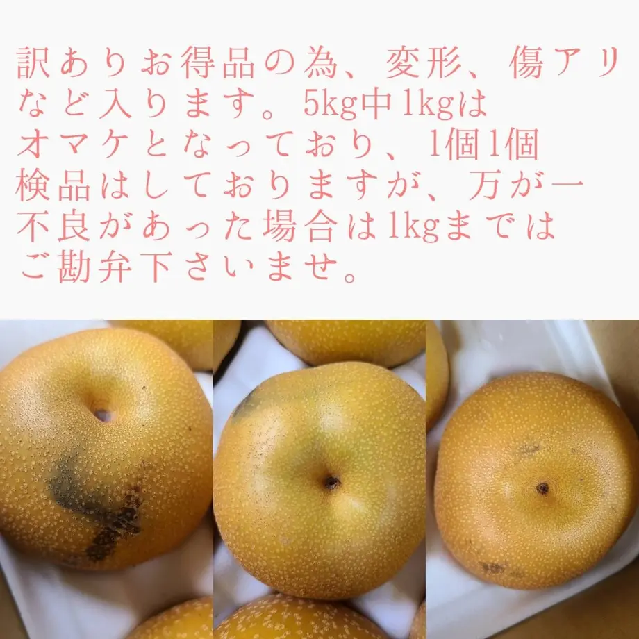 6124ee1f46e30e7a9be476e9