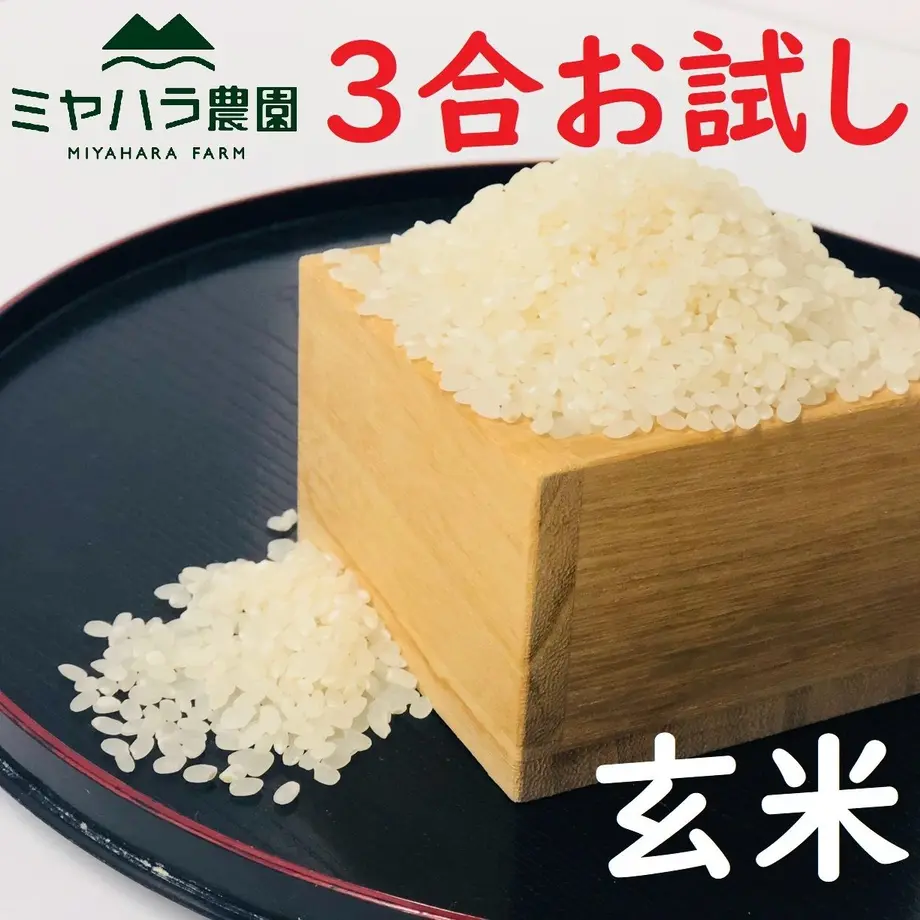 5dec7de9b080e02262e67b63