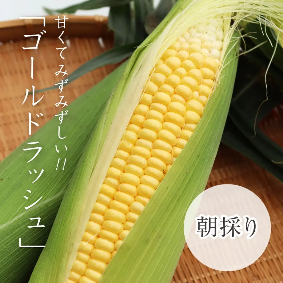 60b594d48899be39f1d13c3d