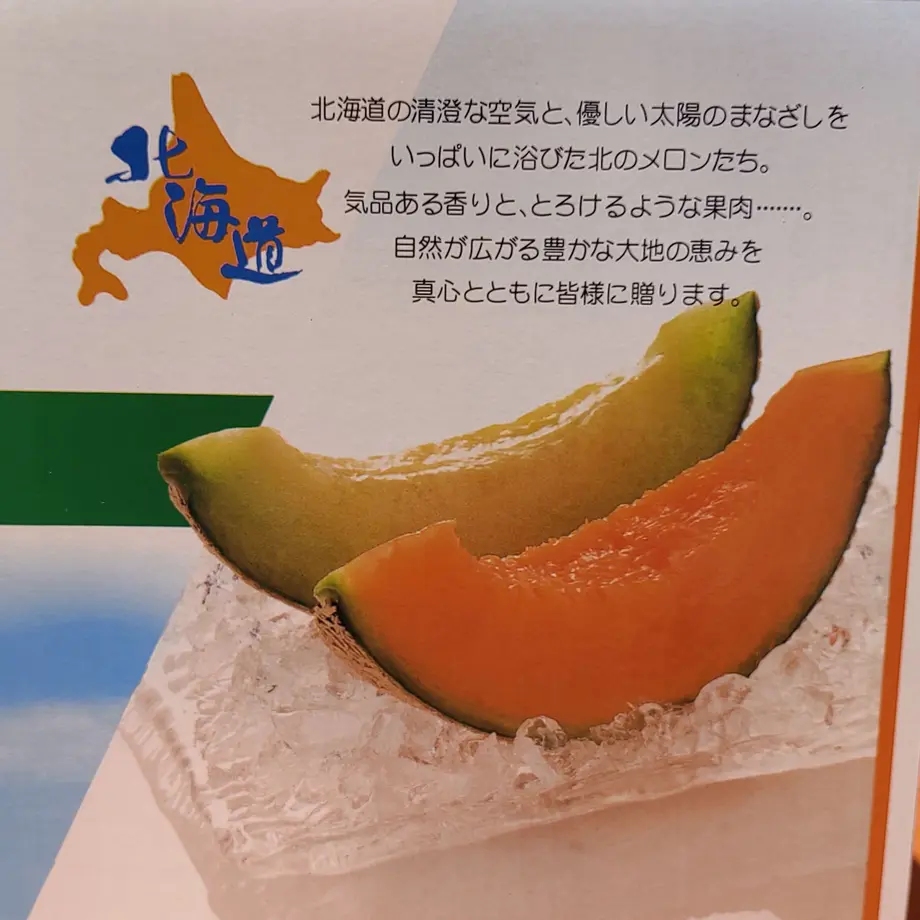 628eef141c6fdf32b5693398