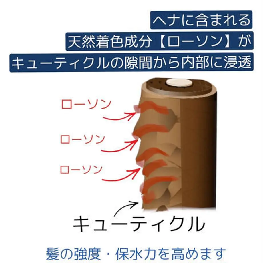 63cb29c04773a31a42447a58