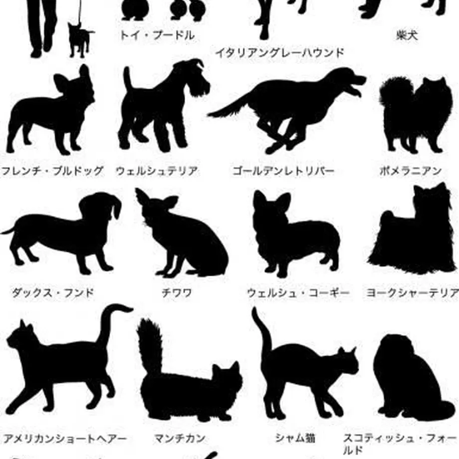 5c12ef3f2a28624c41cfb3dd