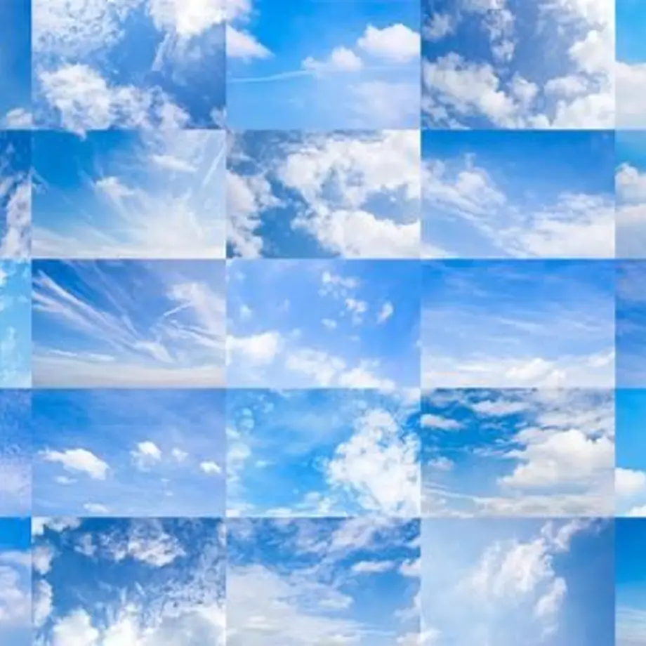 5c175b691444481dbcdc39c6