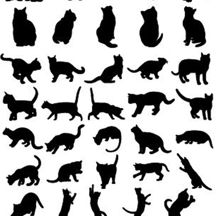 5c12ef3f2a28624c41cfb3dd