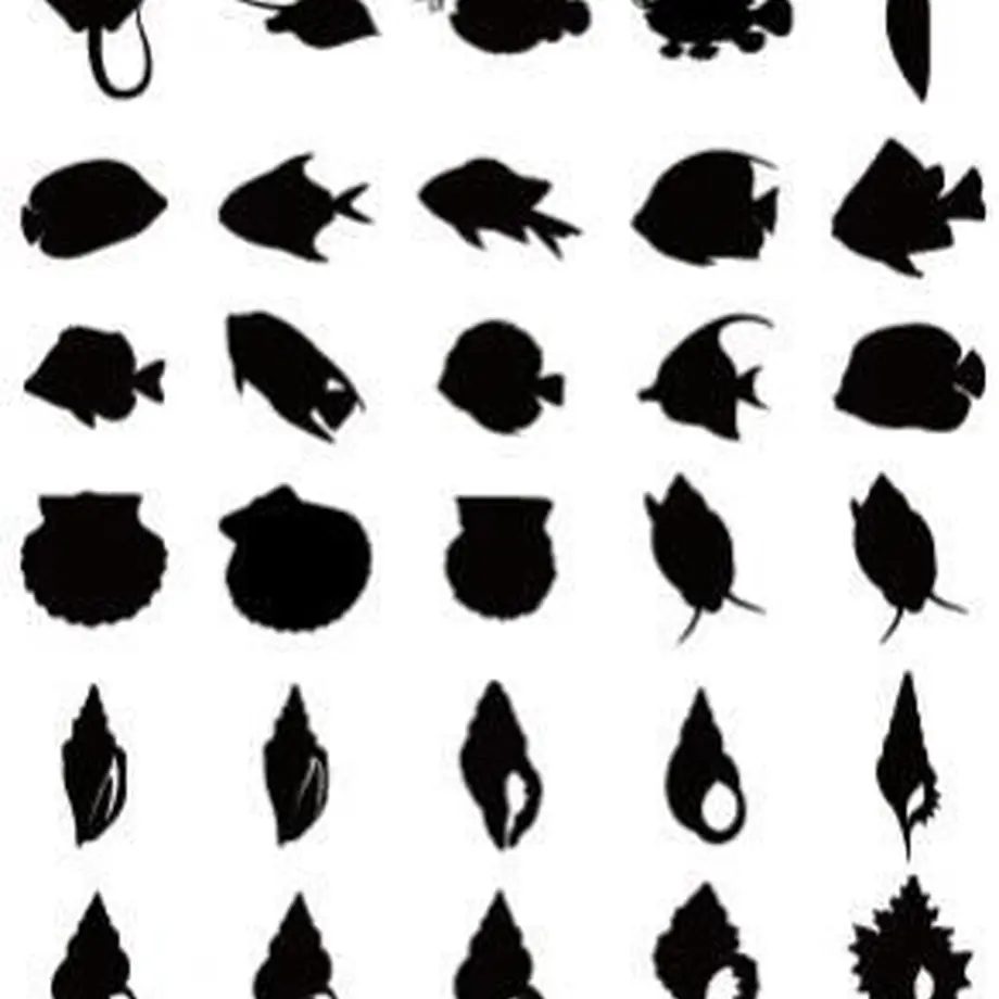 5c1100b8c49cf31634dcfeea