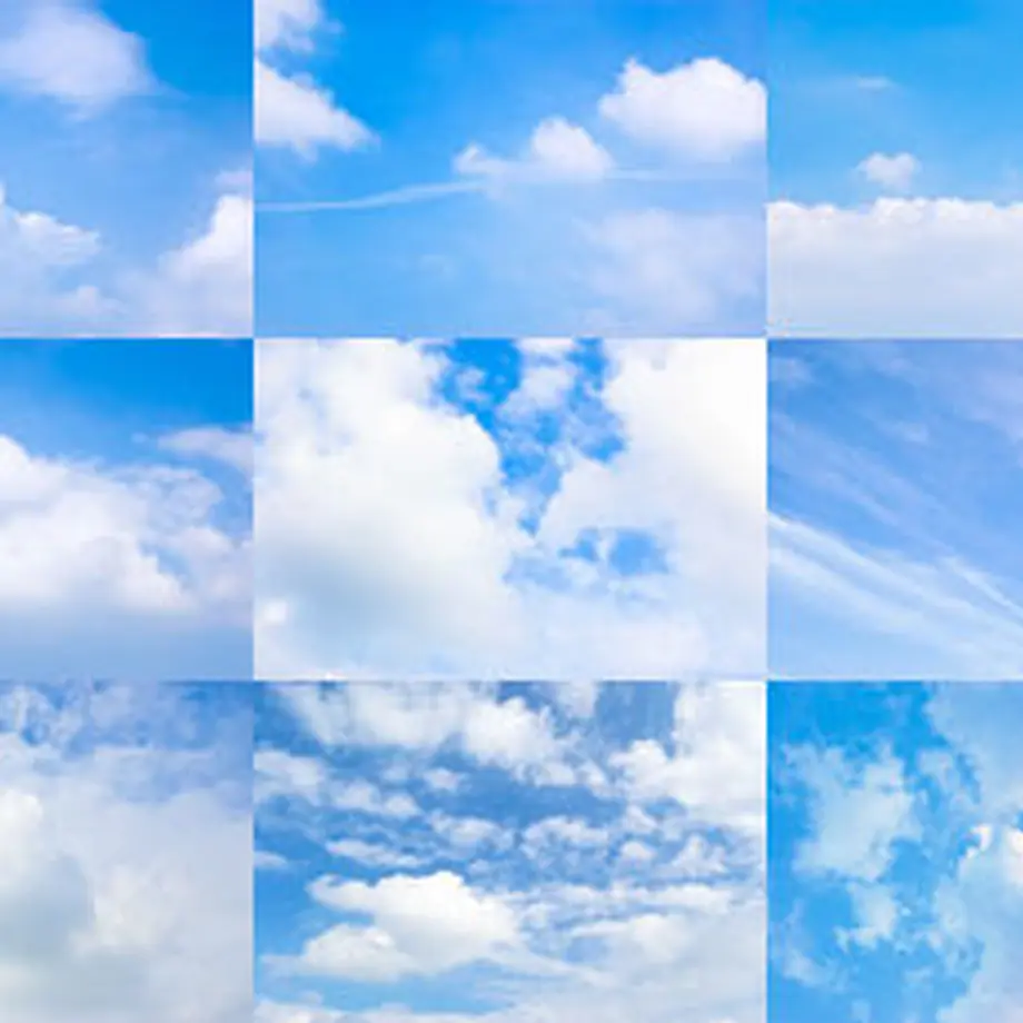 5c175b691444481dbcdc39c6