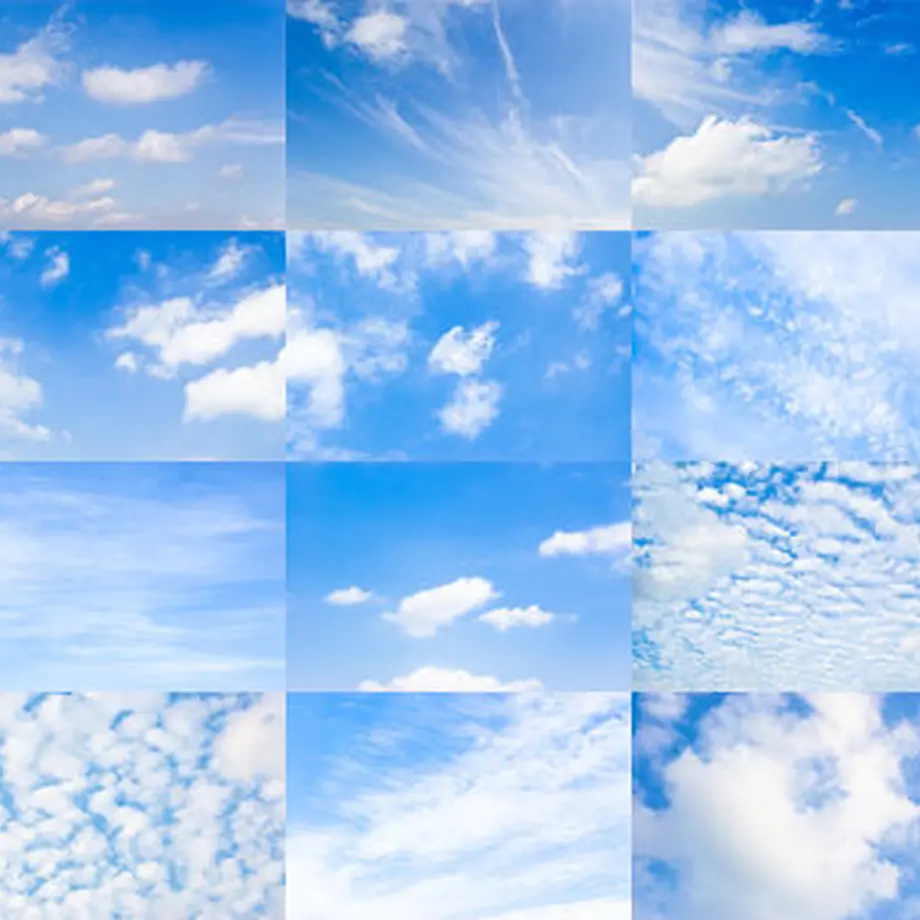 5c175b691444481dbcdc39c6