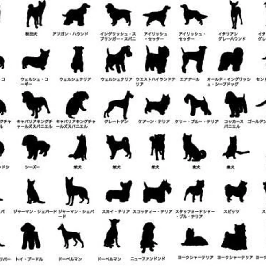 5c12ef3f2a28624c41cfb3dd