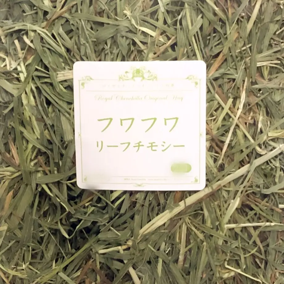 5fff7075da019c3df95f6f0a