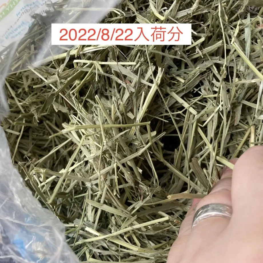 60c3fc9cd7e1d81cd29c1e15