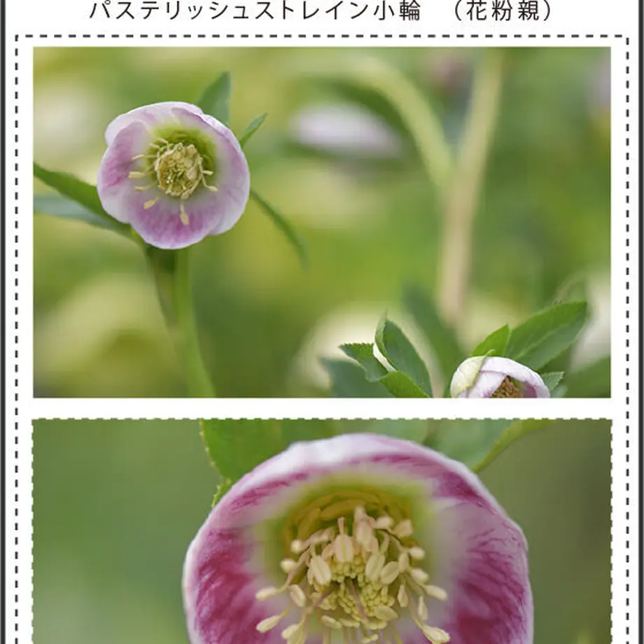63708f4d5988dc504a30a553
