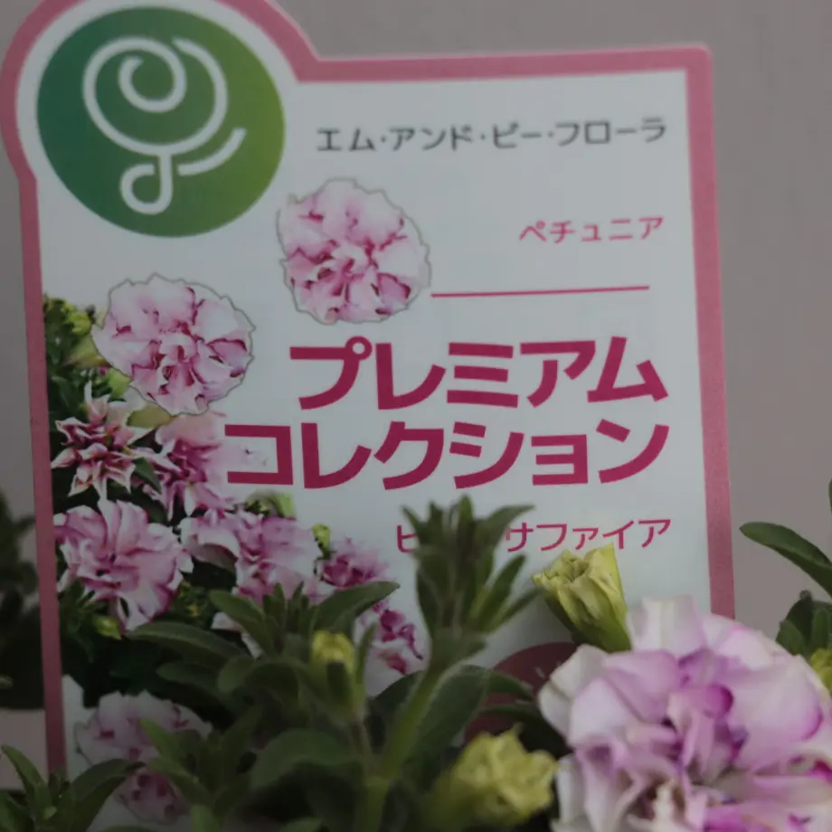 6083c058c9827a4891b301e3