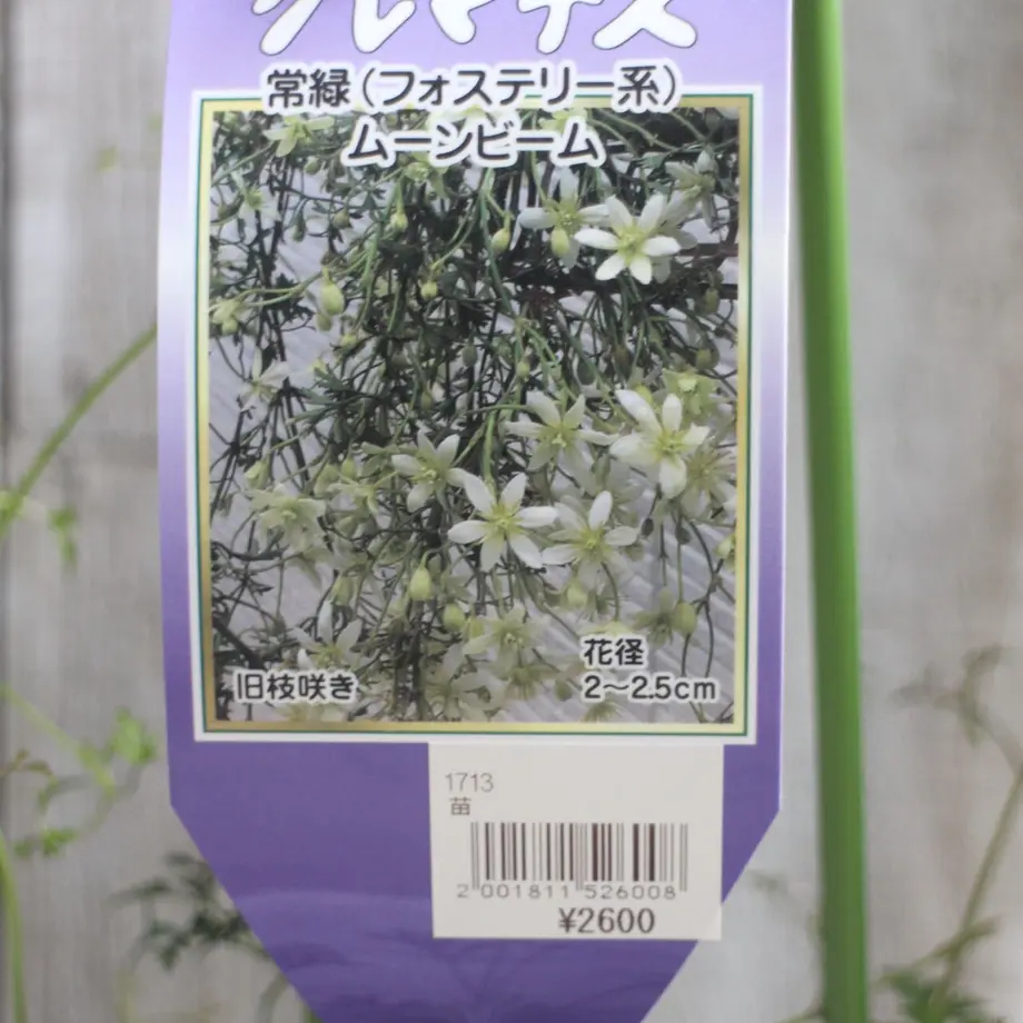 6163ab6ec120965a5ed452c2