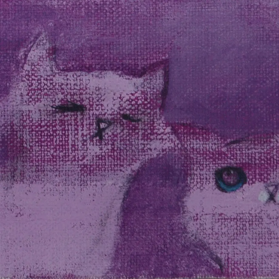 5ec0d1e555fa037cc17136b3