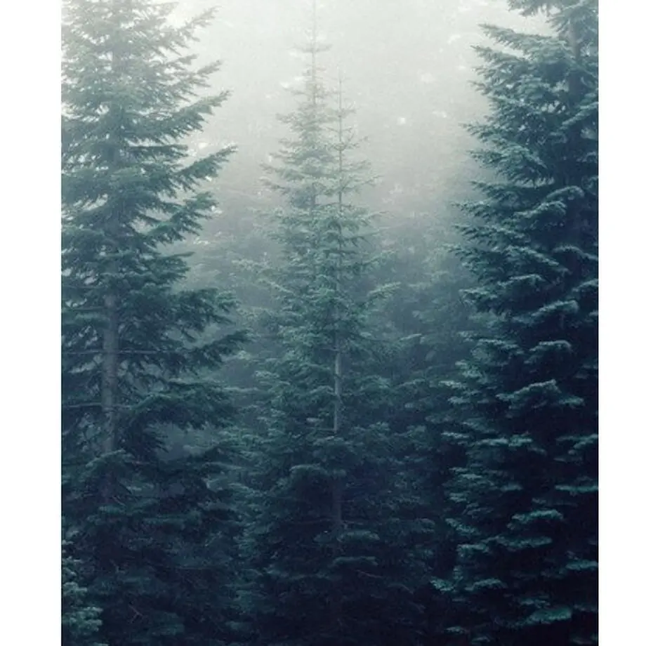 5fd6e0b7df515955704e67b0