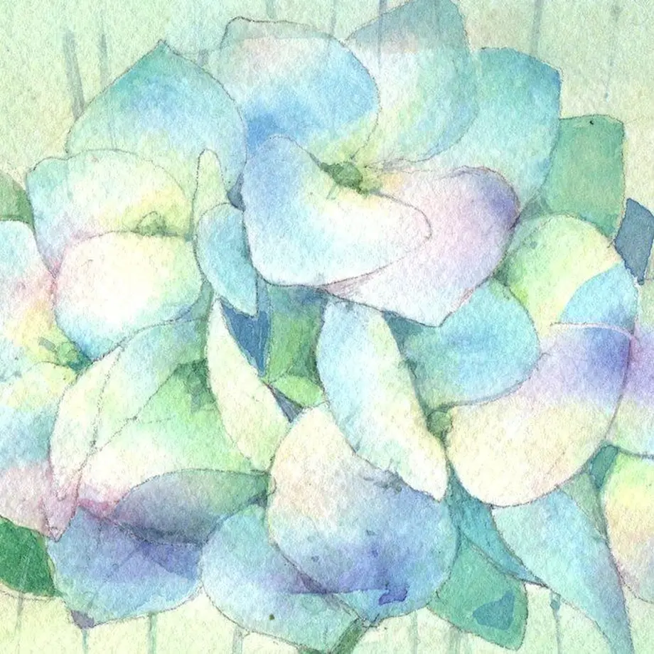5e730ebd2a9a4215fae0f64d