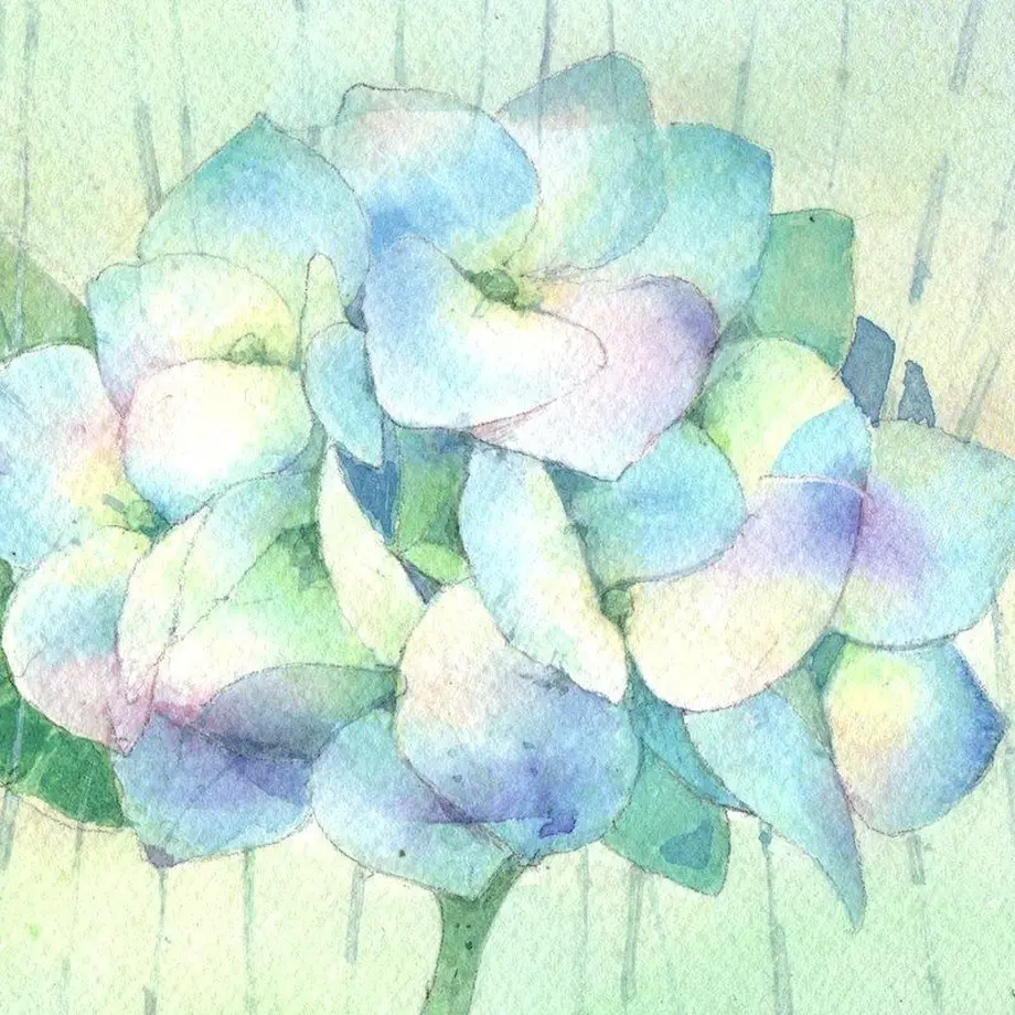 5e730ebd2a9a4215fae0f64d