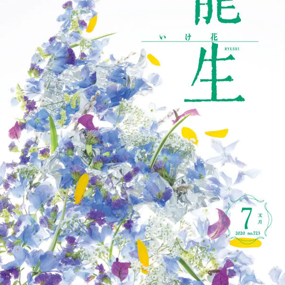 5ef59287561e17018a1b3507