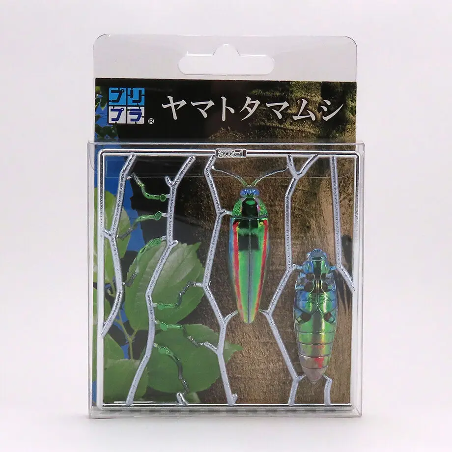 5fe985ca72eb4624411ad69d