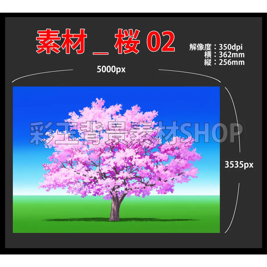 5e42890c94cf7b298965a554