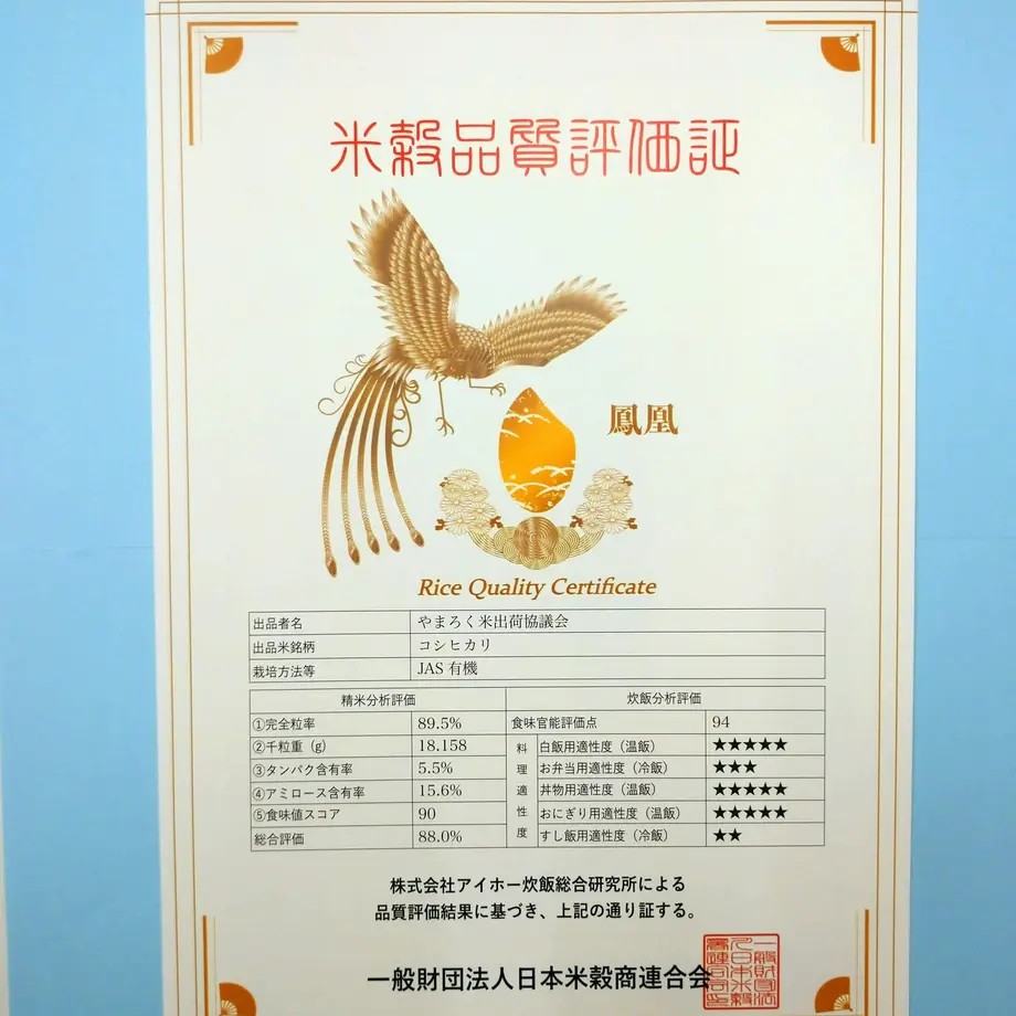 60261ac8c19c4532f128b68f