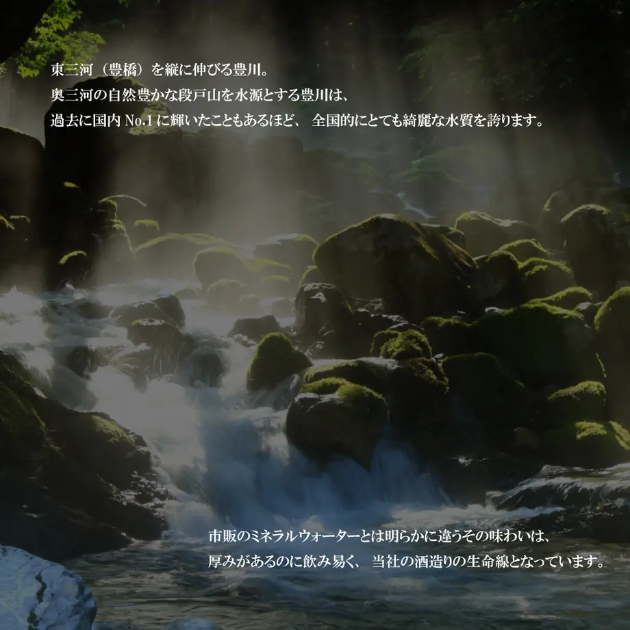 603c888b4f44303cc8fc23e1