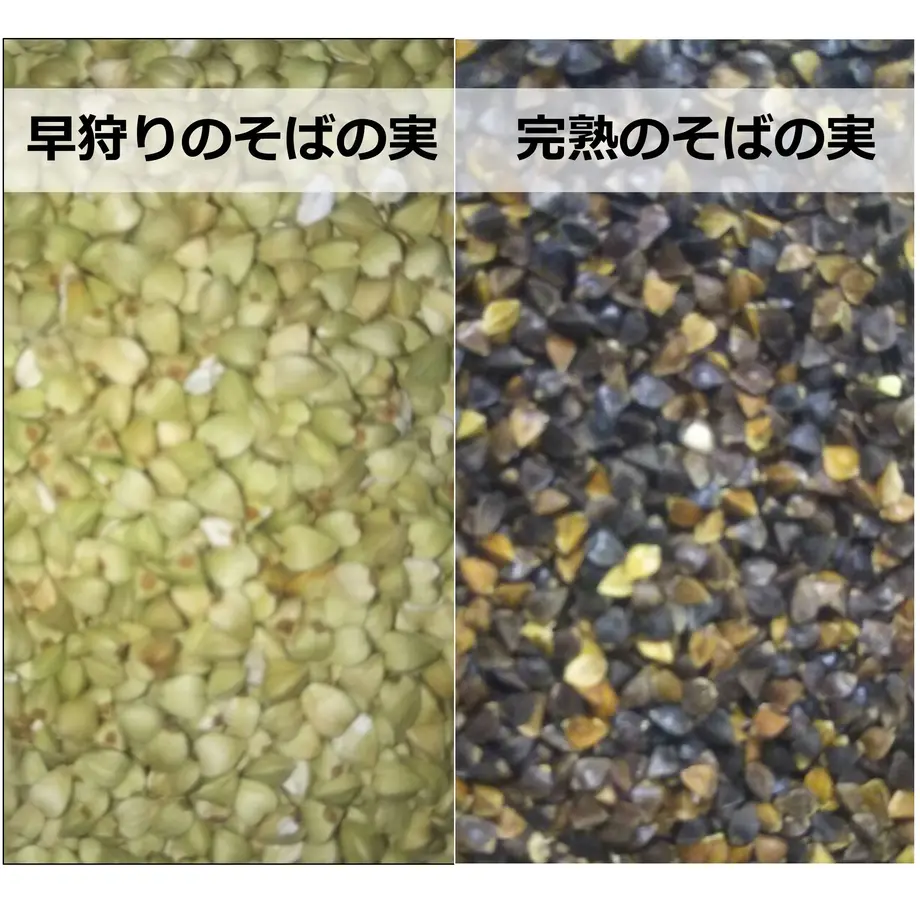 60d001a791260a46d38c2f4a