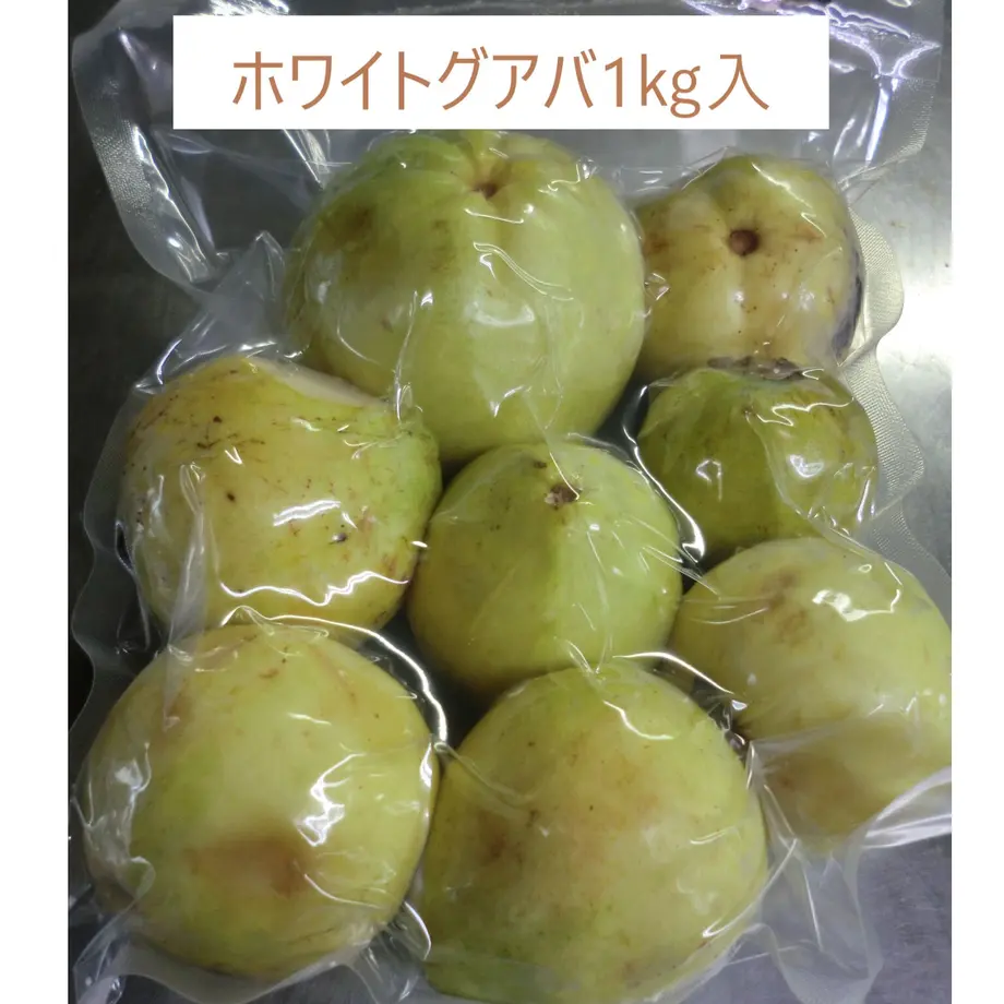 61e28b6a113ce05bfcd44196