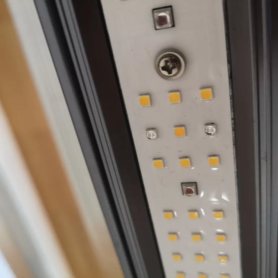 61e4205de3bbd16816ea15dd