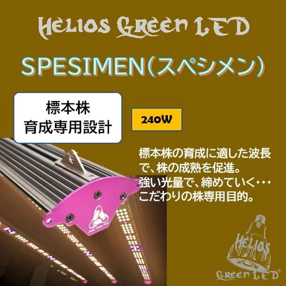 61e4205de3bbd16816ea15dd