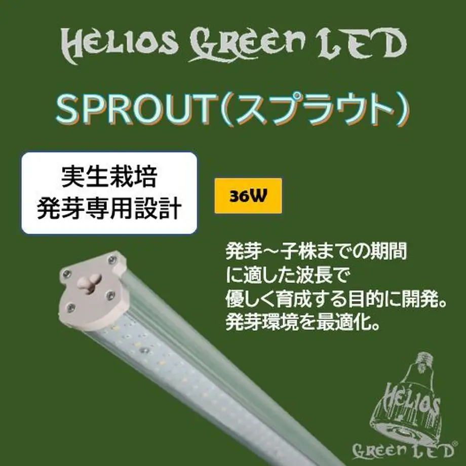 61e2587a0020fc0c238fb730
