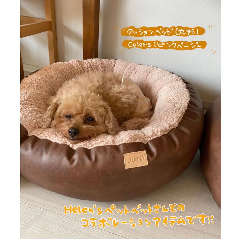 5cdcd6d6a894522d8f65c099