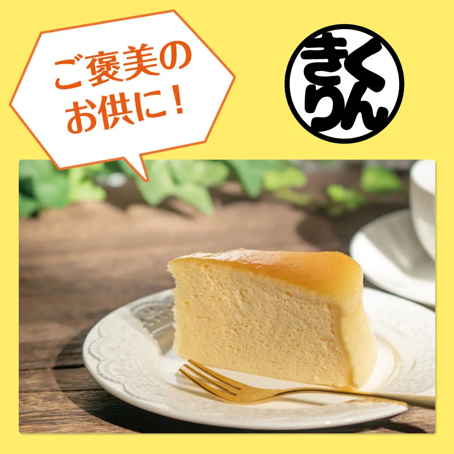 62a07d3339da5f3a5e64e173