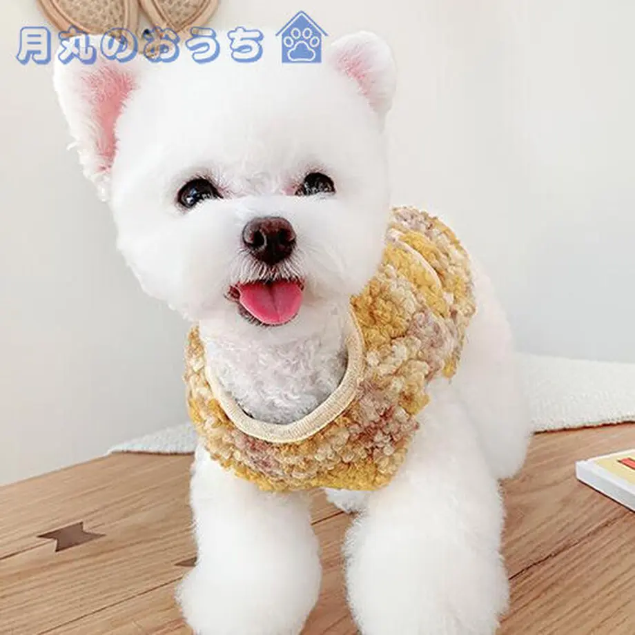 61c688ceb91b75442c73c66c