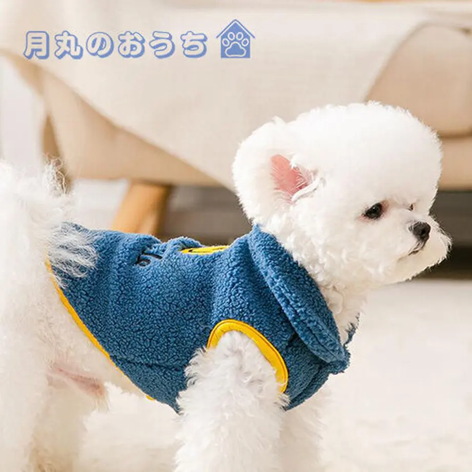 61c687002ee5c24c89f374e0